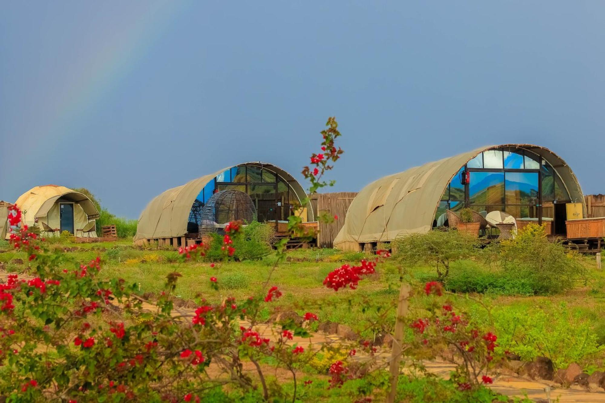 Little Amanya Camp Hotel อัมโบเซลี ภายนอก รูปภาพ